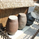 IMG_2263